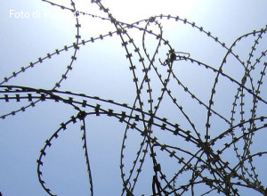L’emigrante tra violenza e illegalità. Papa Francesco e papa Leone a Lampedusa